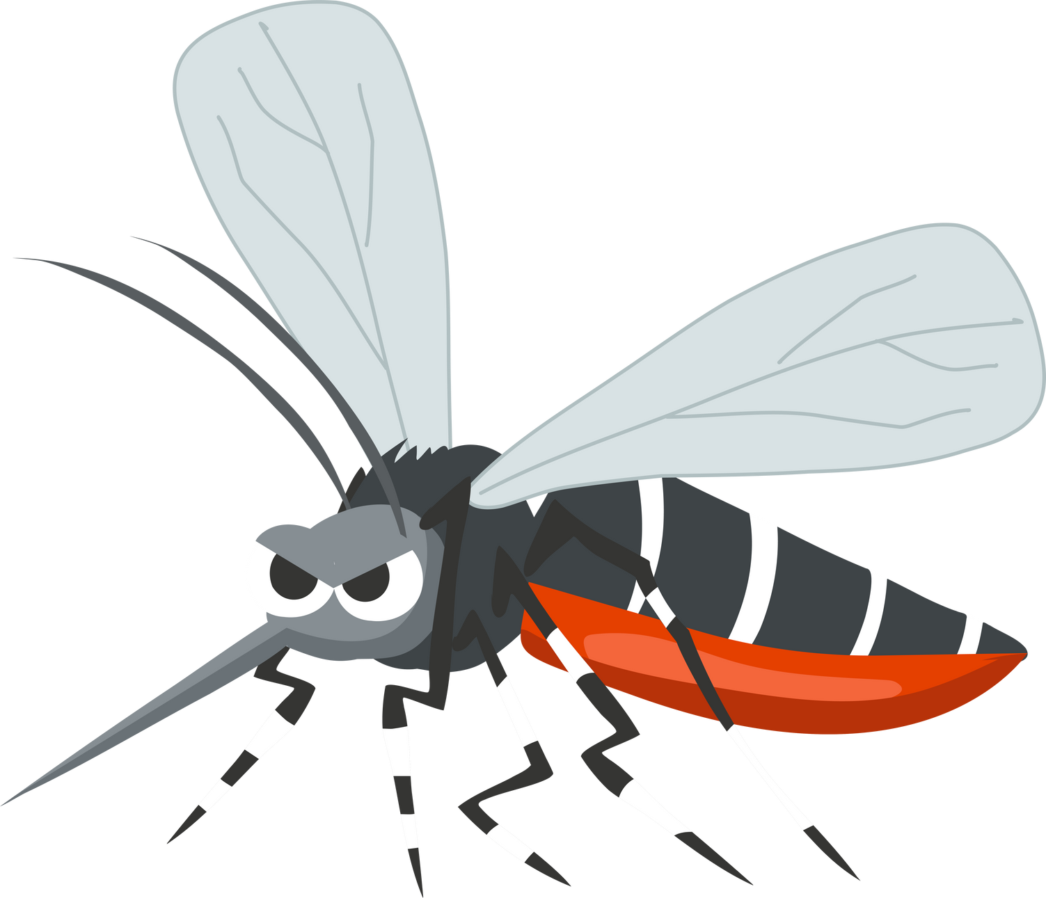Aedes Mosquito Vector Illustration. Zika, Dengue, Chikungunya . Disease Spreading Insect. Tropical Disease Carrier